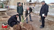 کاشت ۱۱۰۰ نهال در بوستان شهدای سرباز سپاه ساوه