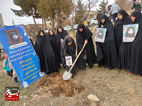 برگزاری مراسم درختکاری به نام شهدای زن+گزارش تصویری