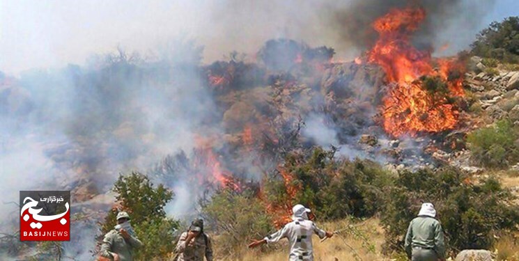مهار آتش‌سوزی بیشه علی‌آباد توسط جهادگران  در اندیمشک