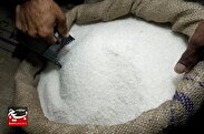 پیش‌بینی افزایش ۵۰ درصدی تولید شکر در خوزستان