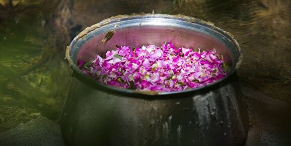 دومین جشنواره گلاب‌گیری در سنندج برگزار می‌شود