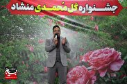 برگزاری جشنواره گل محمدی در منشاد مهریز