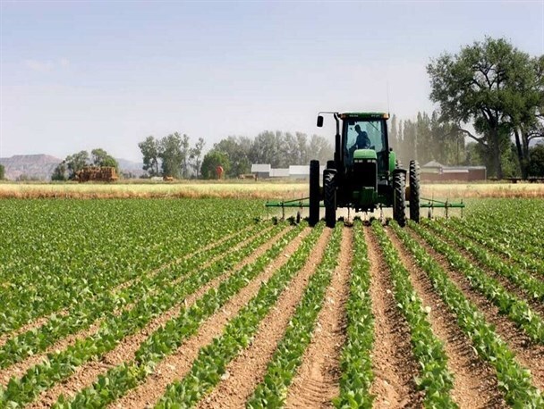 بهره برداری از 28 پروژه کشاورزی با اعتباری بالغ بر 135 میلیارد تومان در زنجان