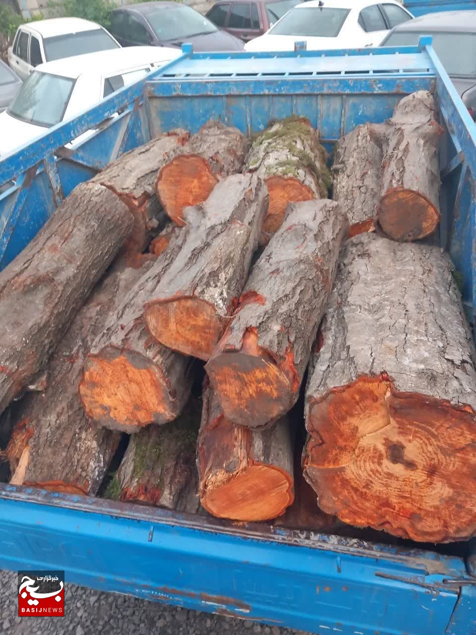 کشف و ضبط بیش از ۶ تن چوب جنگلی قاچاق در نور