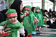 برگزاری مراسم شیرخوارگان حسینی در محمدشهر کرج +تصاویر