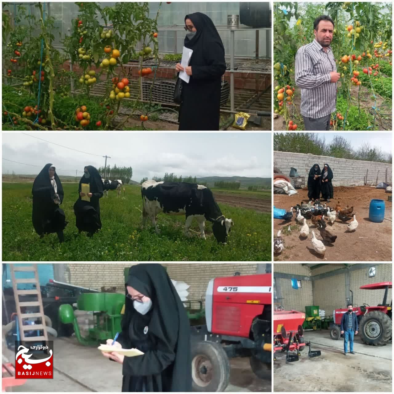 فاطمه باقری فاطمه باقری