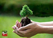 کاشت ۵۰۰ اصله نهال توسط گروه جهادی بی‌بی عصمت استان کرمان