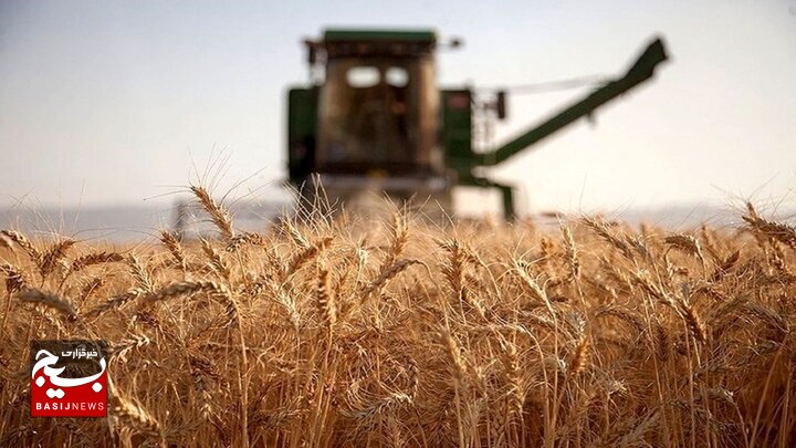 دستورات لازم جهت رسیدگی به خرید تضمینی گندم در اردبیل صادر شد