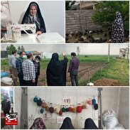 کارآفرینی و اشتغالزایی اولین بسیجی روستای سرچشمه شهر آبگلو‌ی استان اردبیل