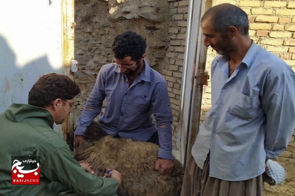 برگزاری اردوی جهادی دامپزشکی به مناسبت هفته دفاع مقدس در نهاوند