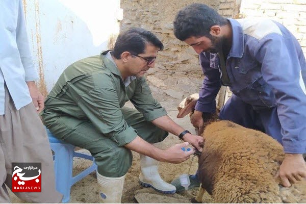 برگزاری اردوی جهادی دامپزشکی به مناسبت هفته دفاع مقدس در نهاوند