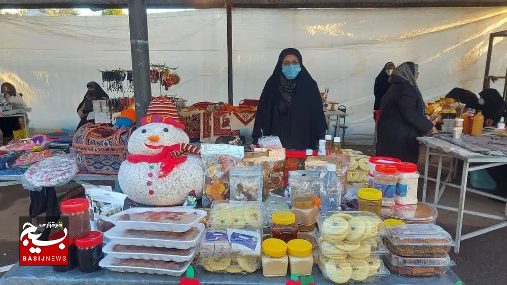 جمع آوری مجموعه کاملی از سنگ ها،کتب درسی و حشرات با همت بانوی بسیجی کرمانی