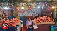 ساوه؛ انارستان ایران،میزبان دومین جشنواره ملی تولید و صادرات انار