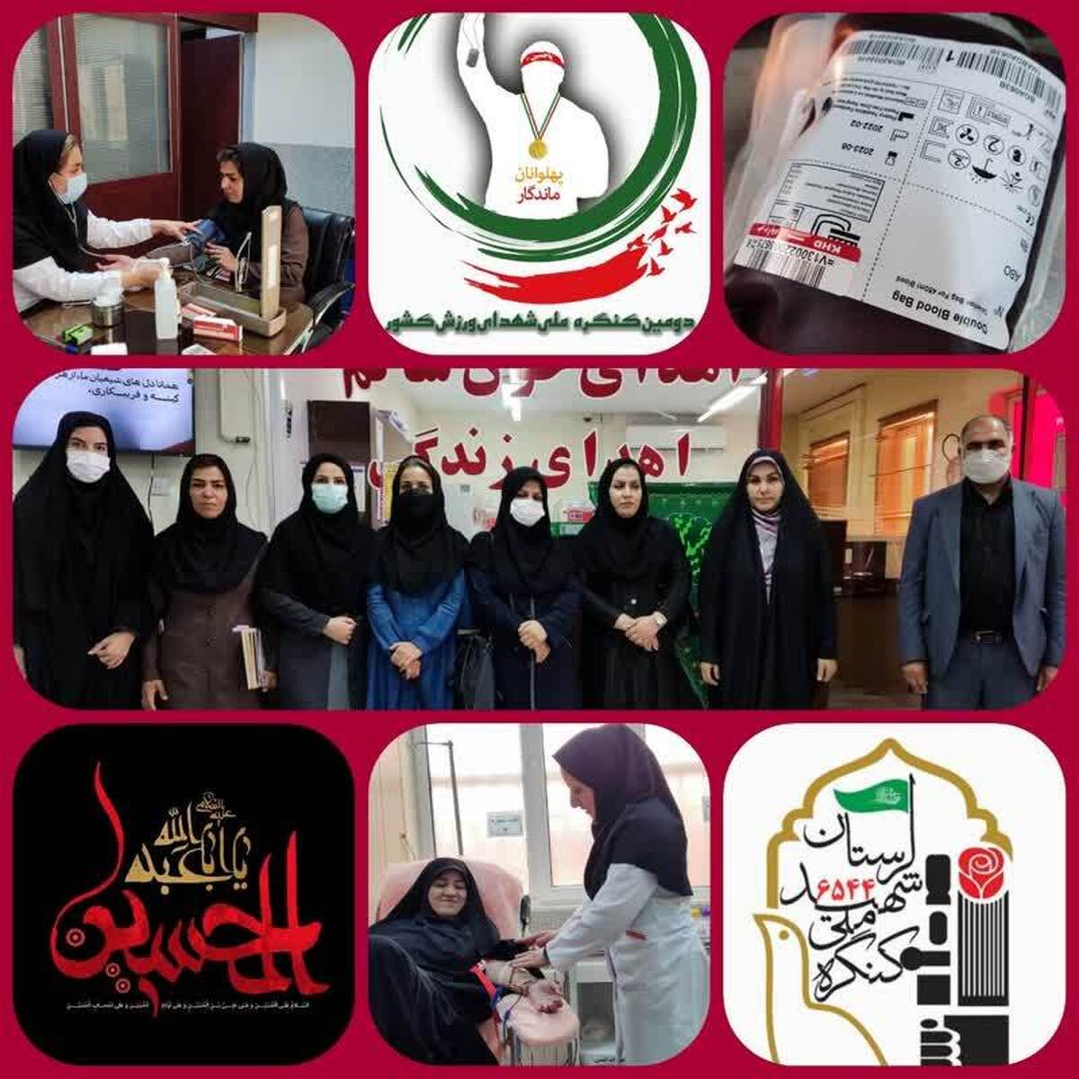 بانوی ورزشکار موفق لرستانی؛ شهدا قهرمانان واقعی هستند/ سازمان بین الملل و حقوق بشر جنگ علیه زنان و کودکان متوقف کند
