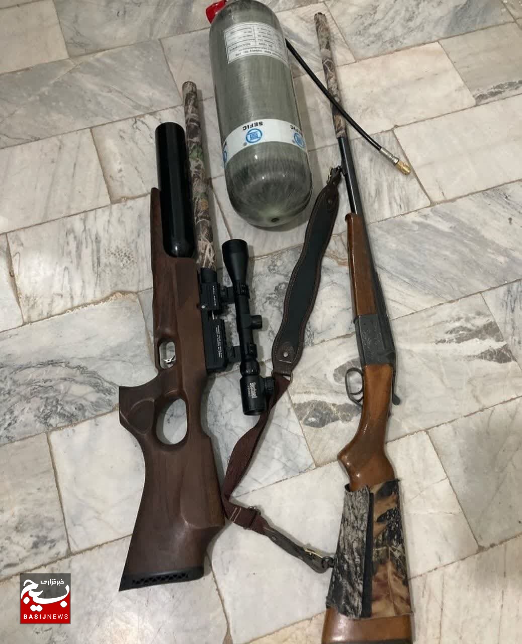 کشف دو قبضه سلاح شکاری در شاهرود/تهدید فروش اسلحه‌های پی سی پی برای محیط زیست