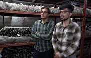 «کار آفرینی دانشجویان نجف آبادی»با بهره گیری از تسهیلات 