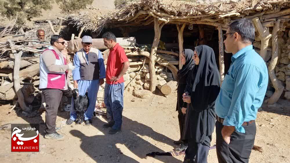 واکسیناسیون چهار هزار راس دام علیه بیماری نیوکاسل توسط بسیج در شهرستان باشت