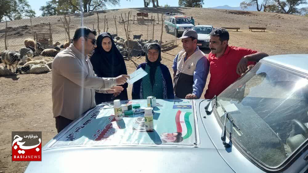 واکسیناسیون چهار هزار راس دام علیه بیماری نیوکاسل توسط بسیج در شهرستان باشت