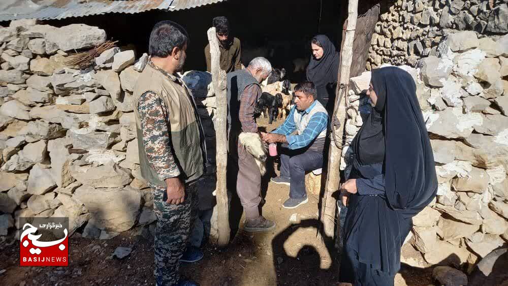 واکسیناسیون چهار هزار راس دام علیه بیماری نیوکاسل توسط بسیج در شهرستان باشت