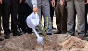 پویش درختکاری «در سایه مادر» در مرکزی اجرا شد