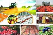 مرکزی، از استان‌های پیشرو در صنایع مادر/ تولید سالانه بیش از ۳ میلیون تن محصول کشاورزی در استان
