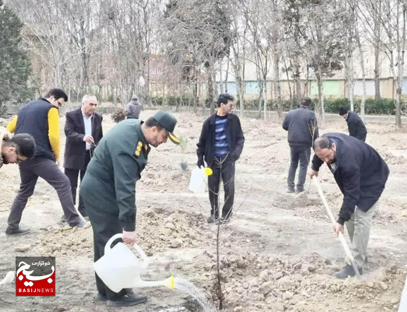 حماسه استان البرز سبز با همت جهادگران بسیجی/کاشت ۱۱۰ هزار درخت در استان البرز، با همت جهادگران بسیجی