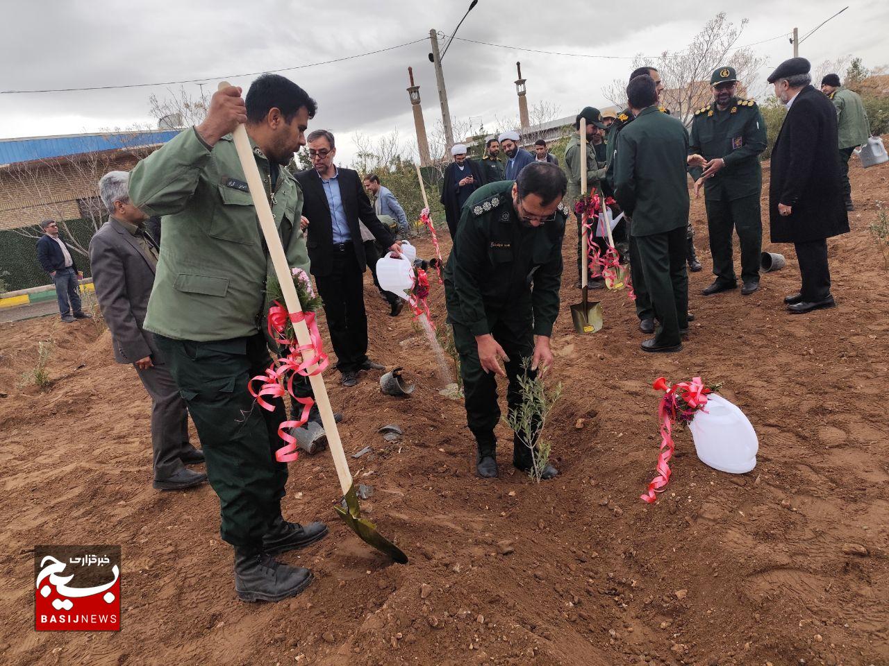 سپاه و کاشت ۷۸ هزار نهال طی هفته درختکاری در کرمان +تصاویر سپاه و کاشت ۷۸ هزار نهال طی هفته درختکاری در کرمان +تصاویر