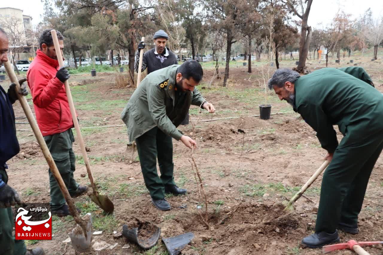 آیین کاشت درخت در محوطه سازمان بسیج مستضعفین