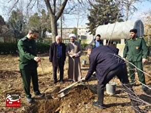 کاشت ۳۸۰ اصله نهال مثمر به نیت شهیدان در ناحیه مقاومت بسیج امام حسین (ع)