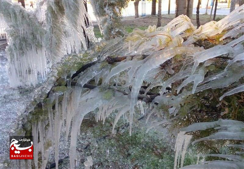 رکورد یخبندان در اردبیل شکسته شد؛ ۲۲ درجه زیر صفر