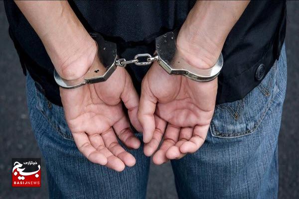دستگیری ۵ نفر متهم در اجرای طرح امنیت محله محور در ملایر