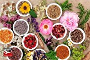 کارآفرینی نوین در ساوه/ ۵ سال زمان برای احیای سبک زندگی اسلامی با طب سنتی گذاشتم