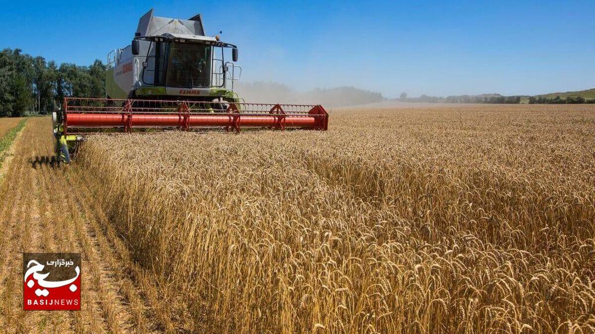  

خرید ۱۸۲ هزار تن گندم از کشاورزان استان قزوین