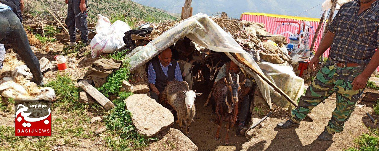 ارائه خدمات جهادی به عشایر گیلان