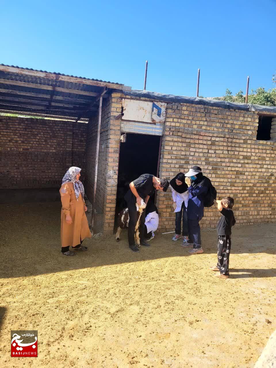 ویزیت رایگان ۴ هزار راس دام و ۵۰۰ عدد طیور در رزمایش جهادی دامپزشکی شهرستان خرم آباد بخش زاغه (روستای باده)