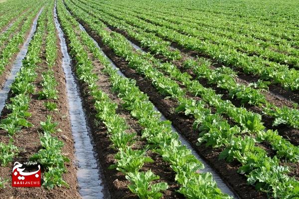 حضور کاروان ترویج بهرهوری الگوی کشت در ۱۲ نقطه استان اردبیل حضور کاروان ترویج بهرهوری الگوی کشت در ۱۲ نقطه استان اردبیل