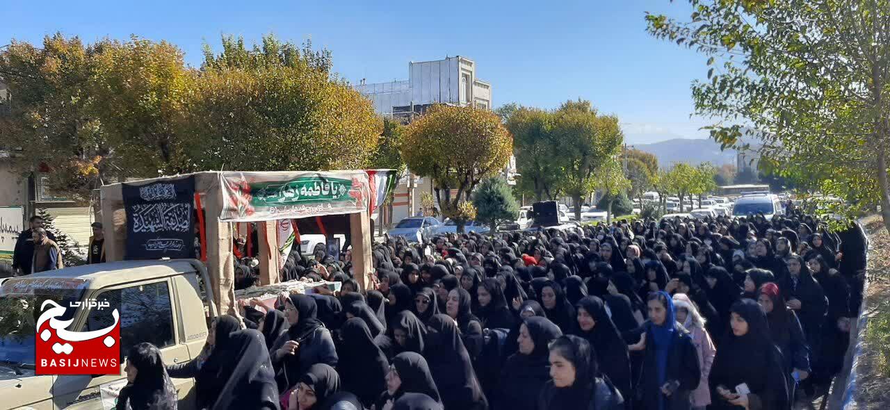 استقبال دورودی ها از لاله های فاطمی استقبال دورودی ها از لاله های فاطمی