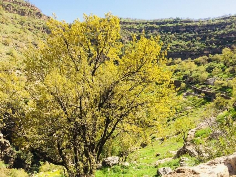 حفظ منابع طبیعی؛ مسئولیتی همگانی برای آیندگان