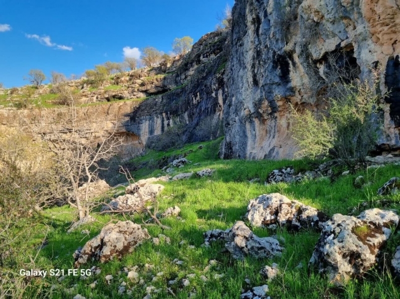 حفظ منابع طبیعی؛ مسئولیتی همگانی برای آیندگان