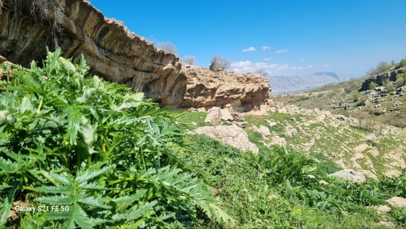 حفظ منابع طبیعی؛ مسئولیتی همگانی برای آیندگان