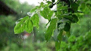 ماندگاری هوای سرد در کردستان تا روز جمعه