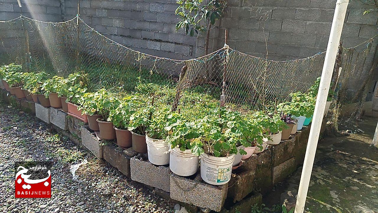 خانه‌ای که هنوز بوی حبیب می‌دهد