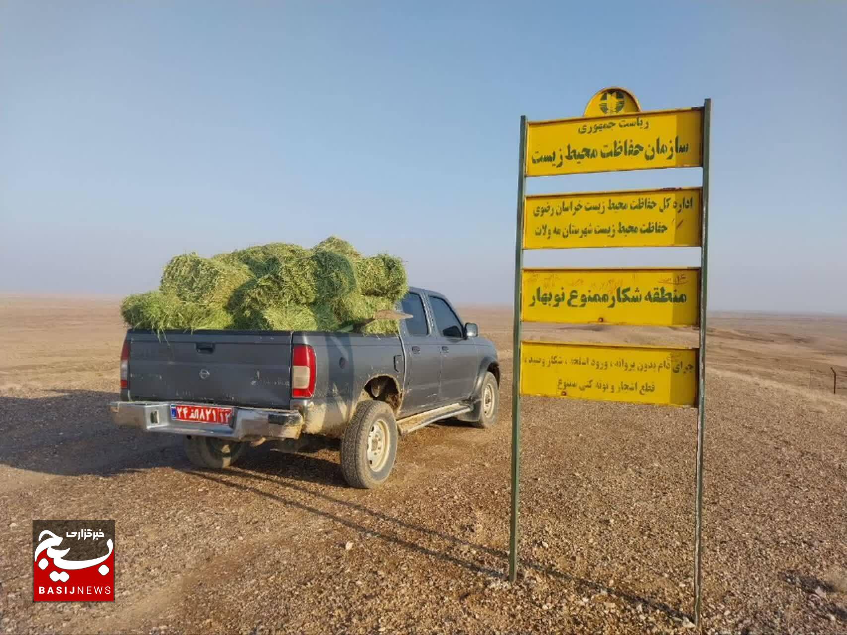 تأمین و توزیع دو تن علوفه برای تغذیه آهوان نوبهار مه ولات در فصل زمستان