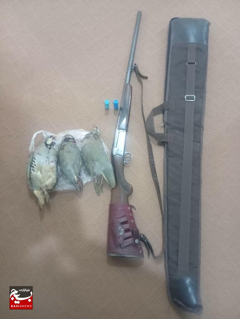 دستگیری ۴ شکارچی متخلف طی پنج عمليات موفق توسط يگان حفاظت محيط‌بانان مناطق استان قزوين