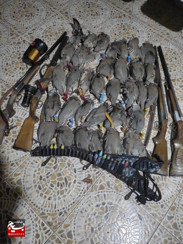 دستگیری ۴ شکارچی متخلف طی پنج عمليات موفق توسط يگان حفاظت محيط‌بانان مناطق استان قزوين