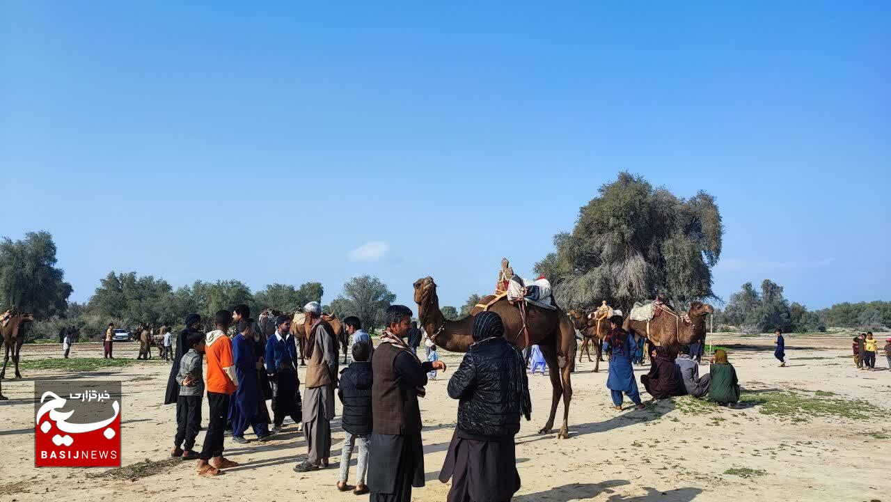 شور و نشاط بومی در هزارکهور +تصاویر