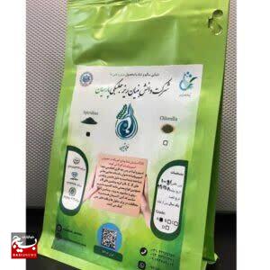 رشد ۲۵۰۰ درصدی طرح‌های اقتصاد مردمی در ایران؛ تمرکز بر امنیت غذایی و تکمیل زنجیره ارزش