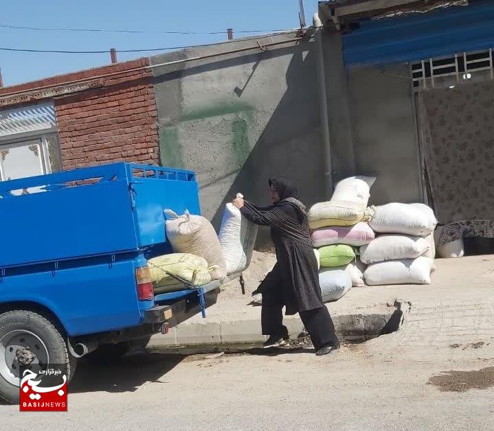 تلاش برای زندگی از رج رج گلیم بافی تا پاک کردن مشت مشت خشکبار