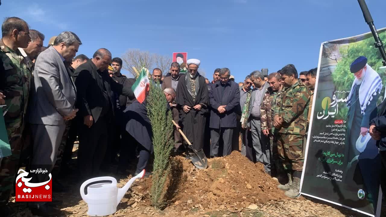 سرو ایران در خاک کهگیلویه و بویراحمد کاشته شد