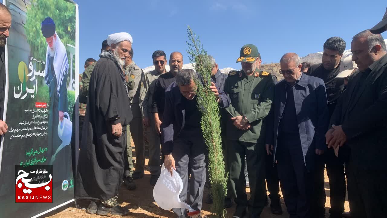 سرو ایران در خاک کهگیلویه و بویراحمد کاشته شد
